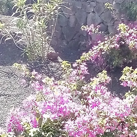 Casa Marilyn ヴィラ